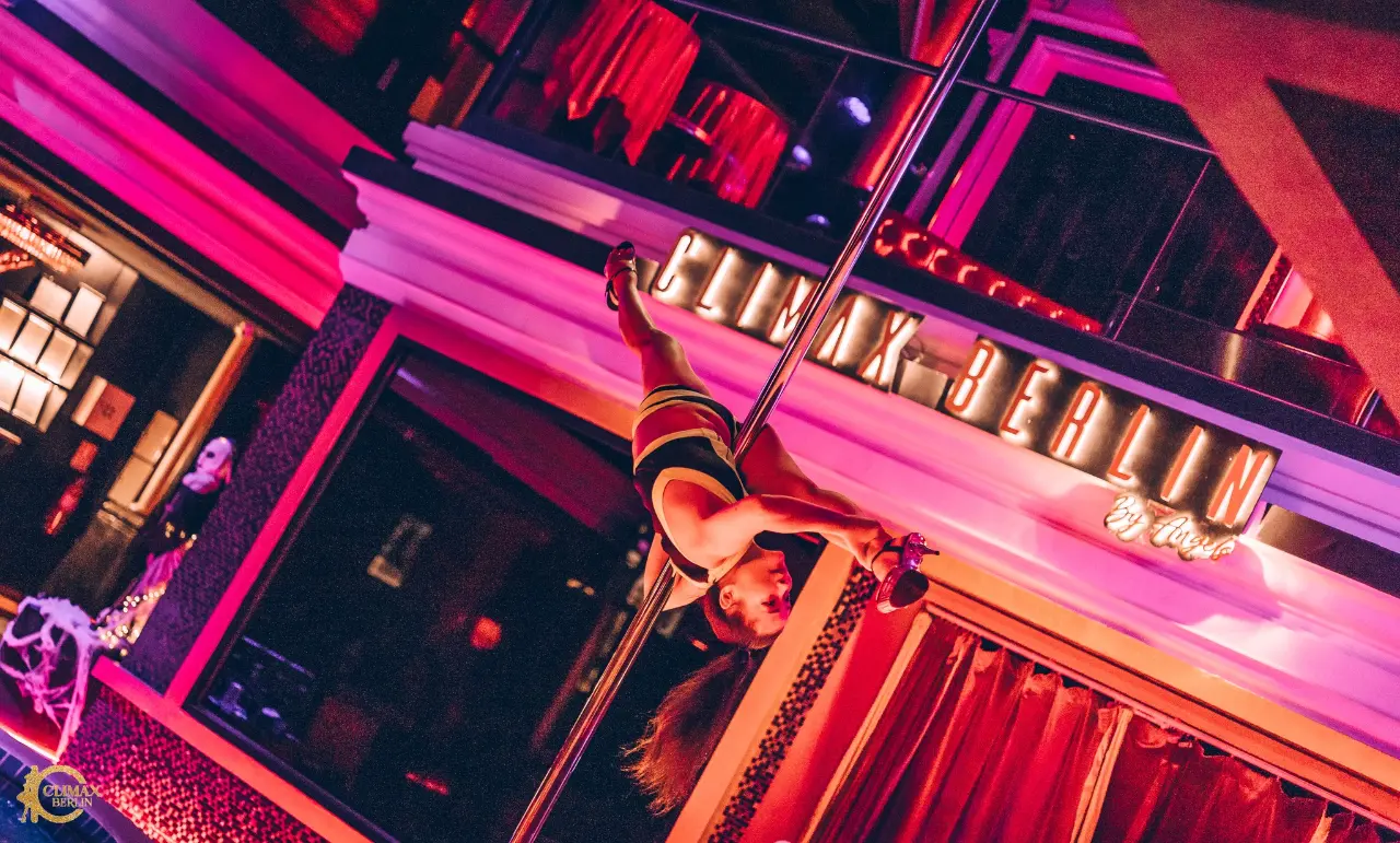 Professional Dancers - Image 17